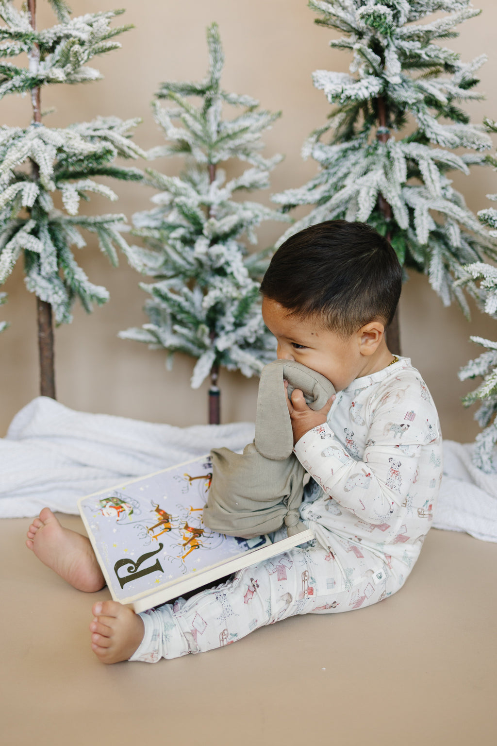 Santa Paws Bamboo Zippy Pajamas